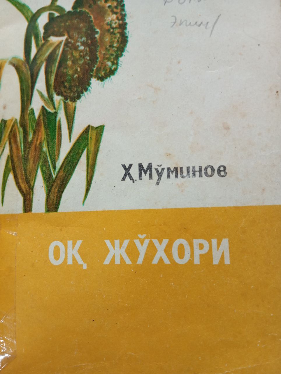 Оқ жўхори