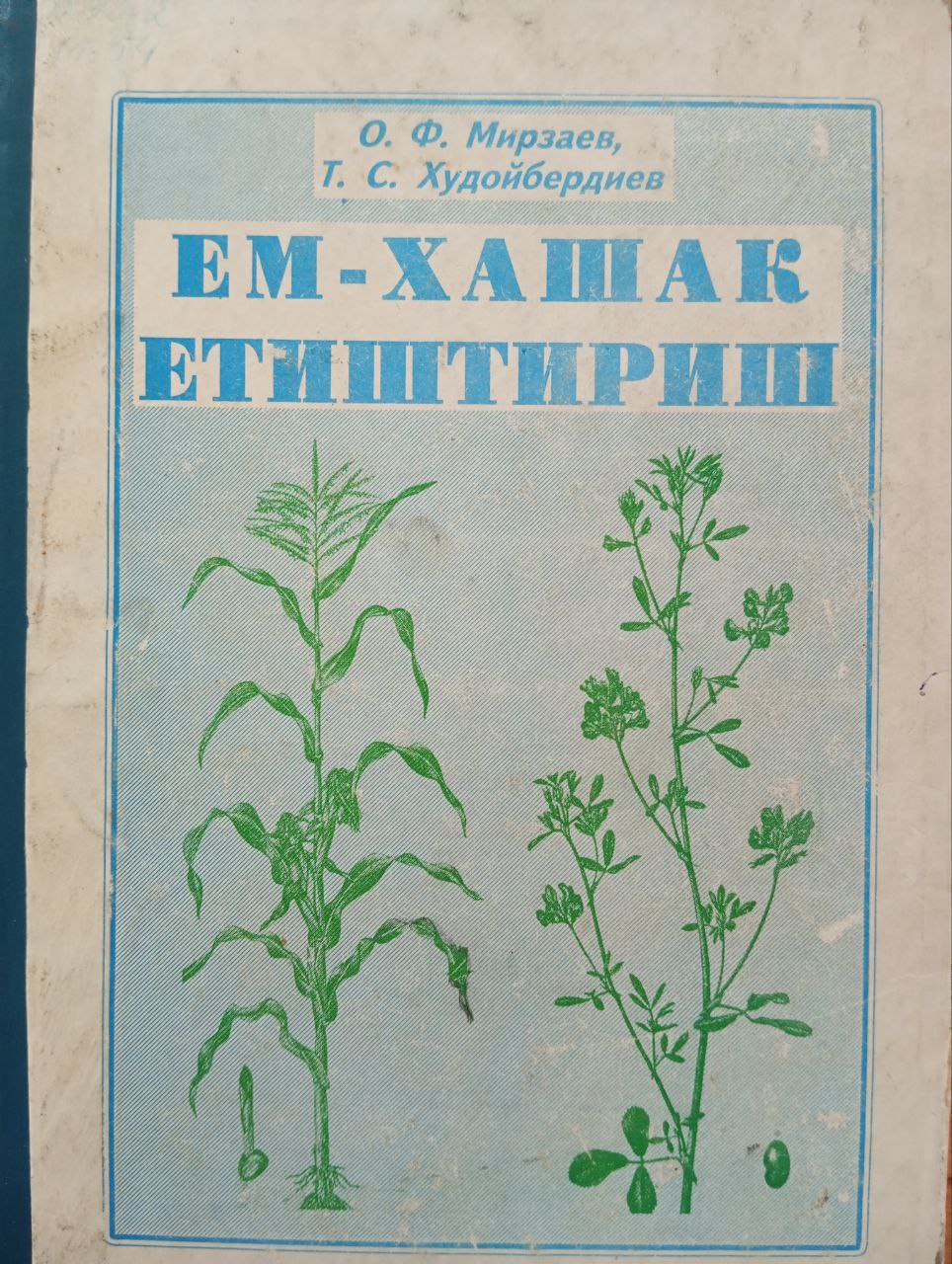 Ем-хашак етиштириш