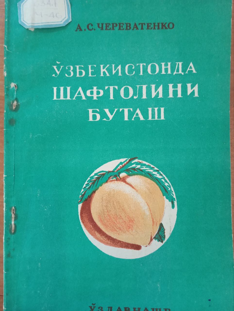 Ўзбекистонда шафтолини бутлаш