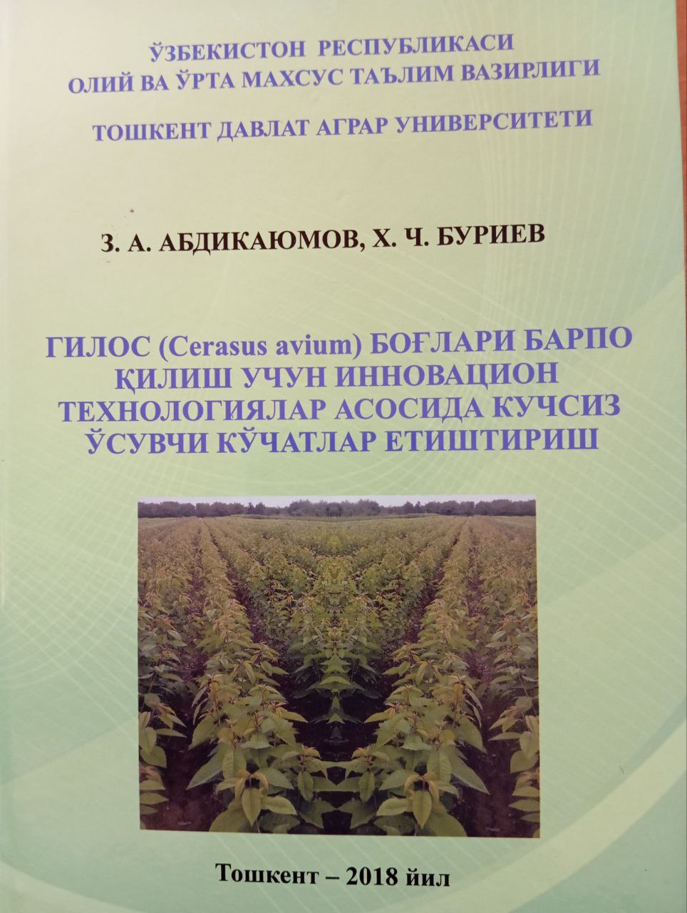 Гилос (Cerasus avium) боғлари барпо қилиш учун инновацион технологиялар асосида кучсиз ўсувчи кўчатлар етиштириш