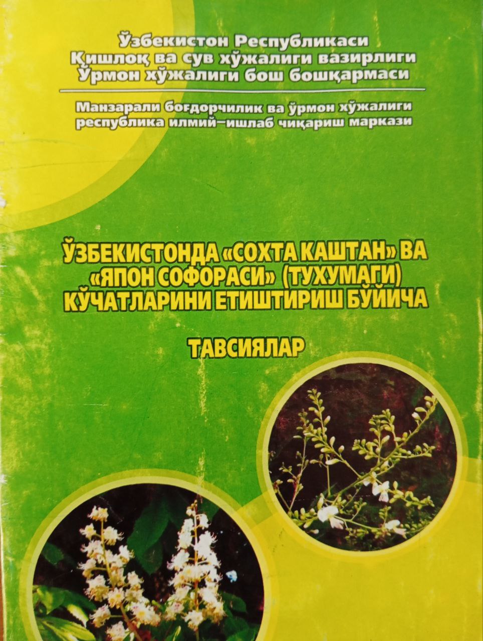 Ўзбекистонда "Сохта каштан" ва "Япон софораси"ни (тухумаги) кўчатларини етиштириш бўйича