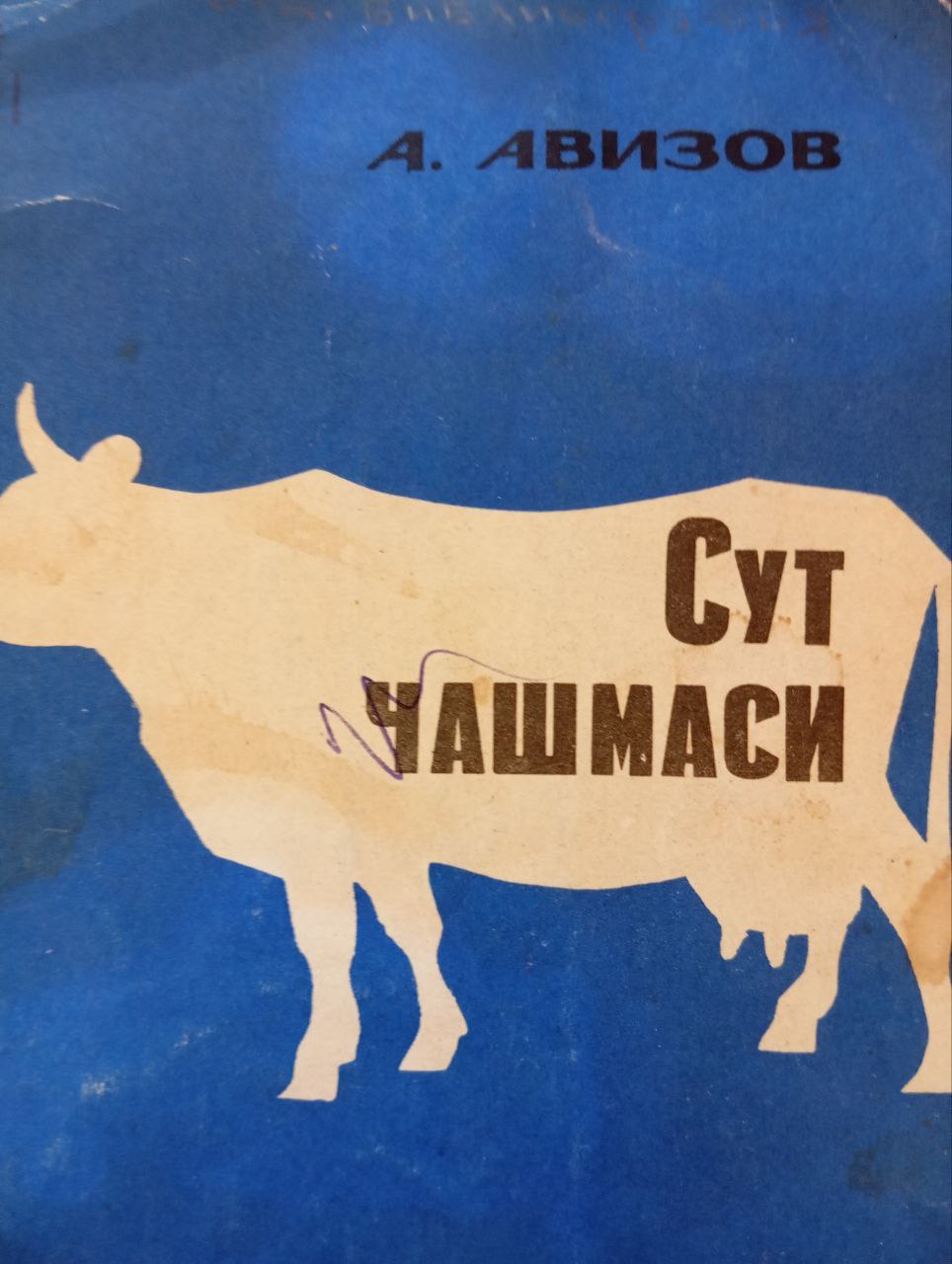 Сут чашмаси