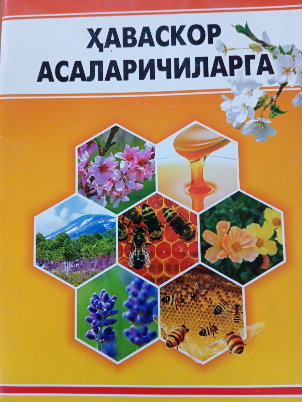 Ҳаваскор асаларичиларга