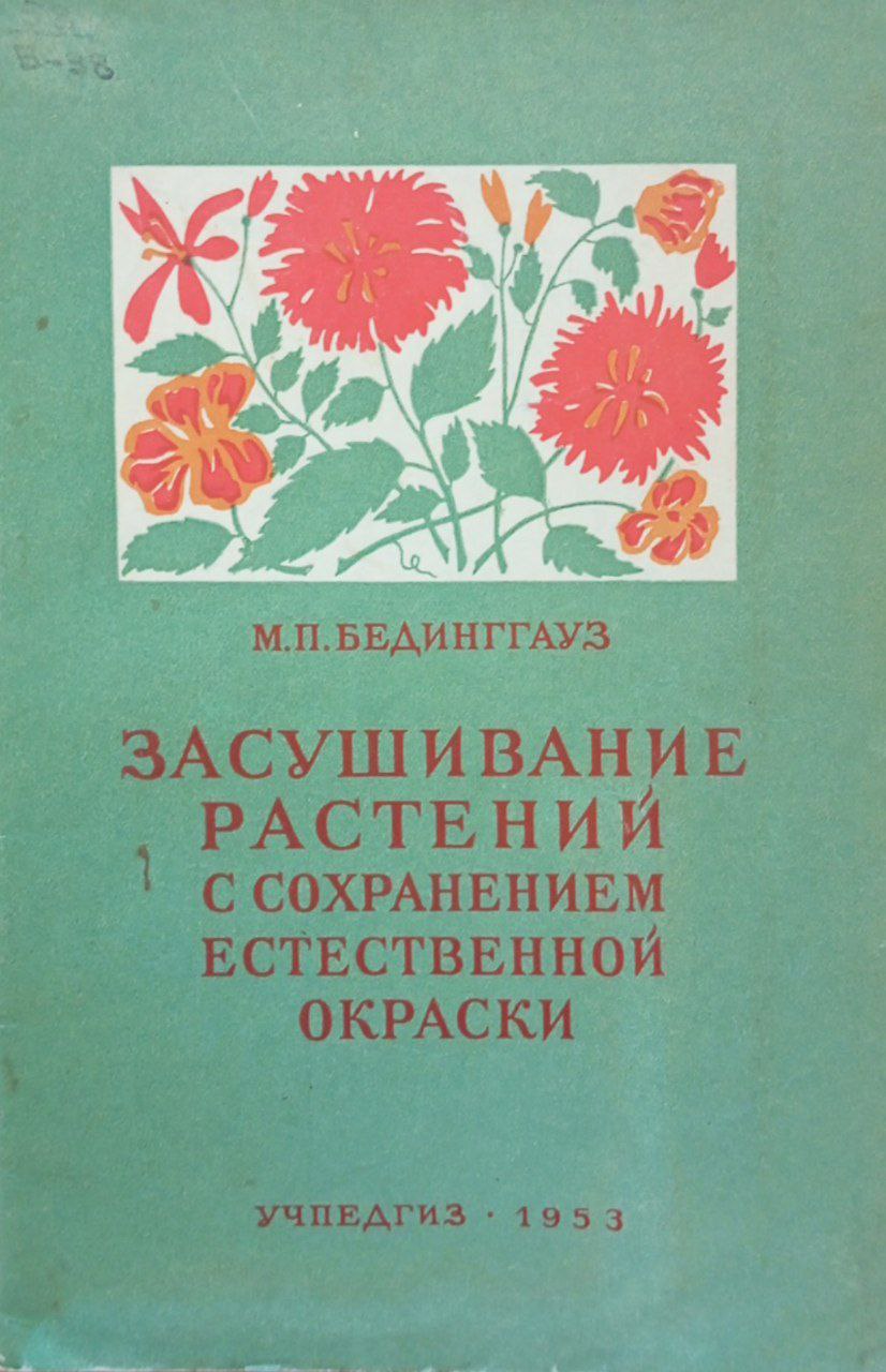Засушивание растений с сохранением естественной окраски