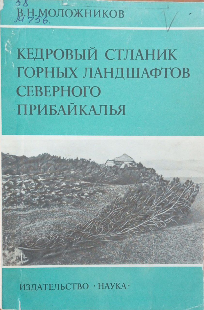 Кедровый сталник горных ландшафтов северного прибайкалья