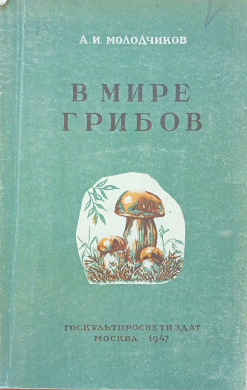 В мире грибов