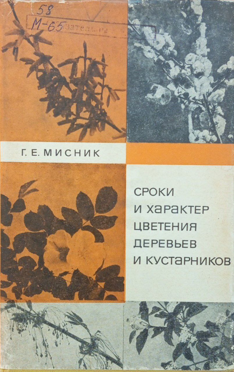 Сроки и характер цветения деревьев и кустарников