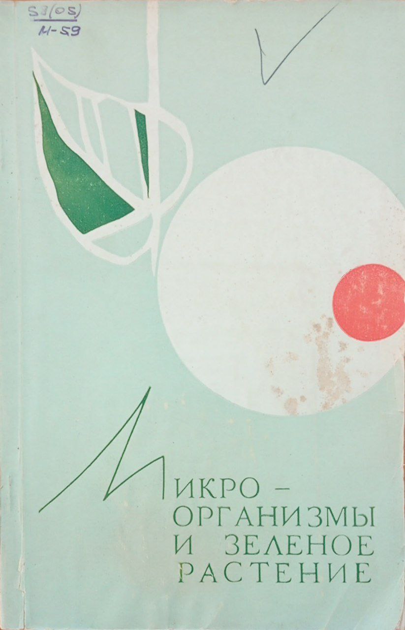 Микроорганизмы и зеленое растение