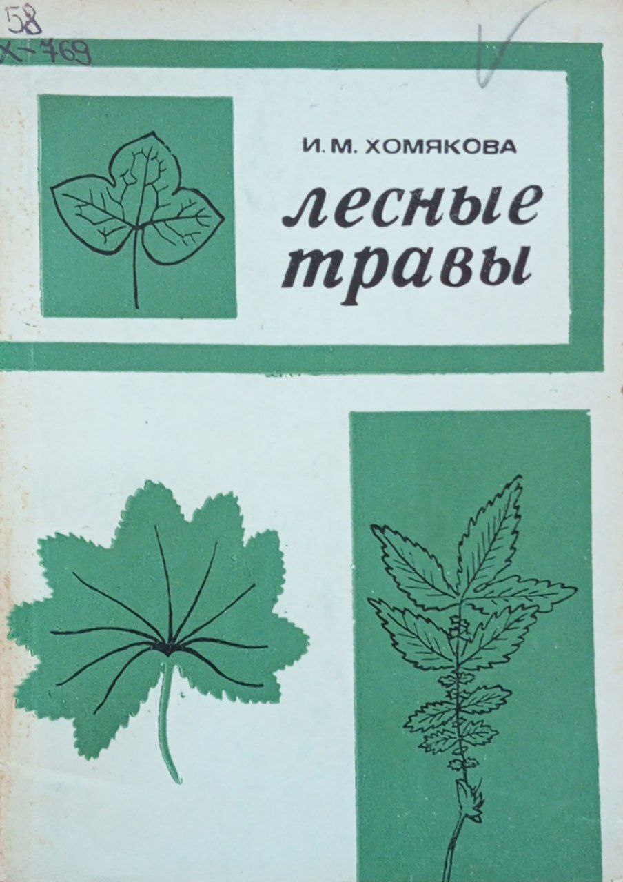 Лесные травы