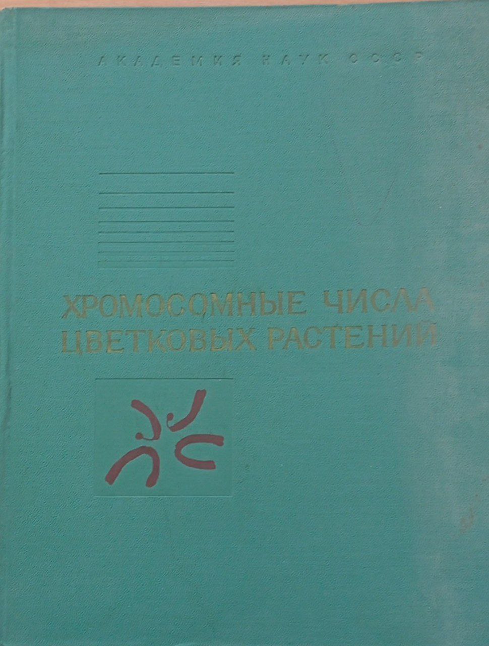 Хромосомные числа цветковых растений