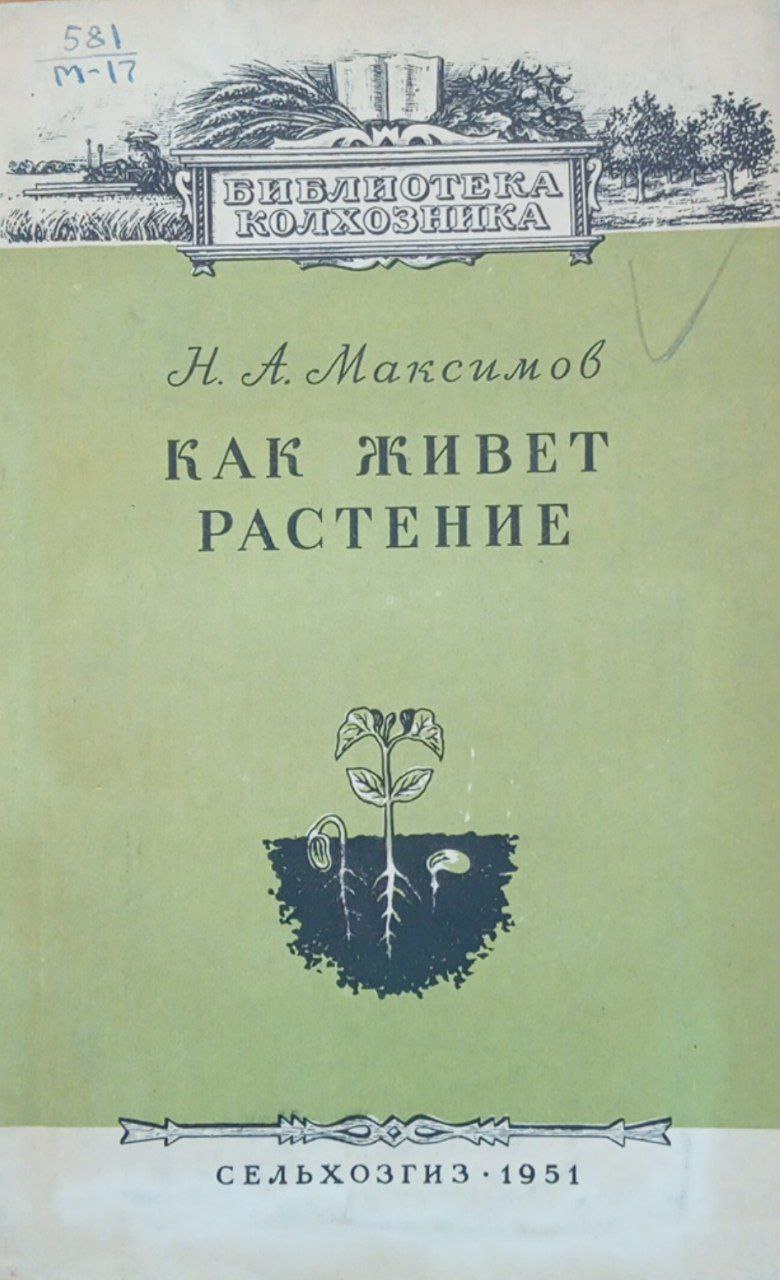 Как живет растение