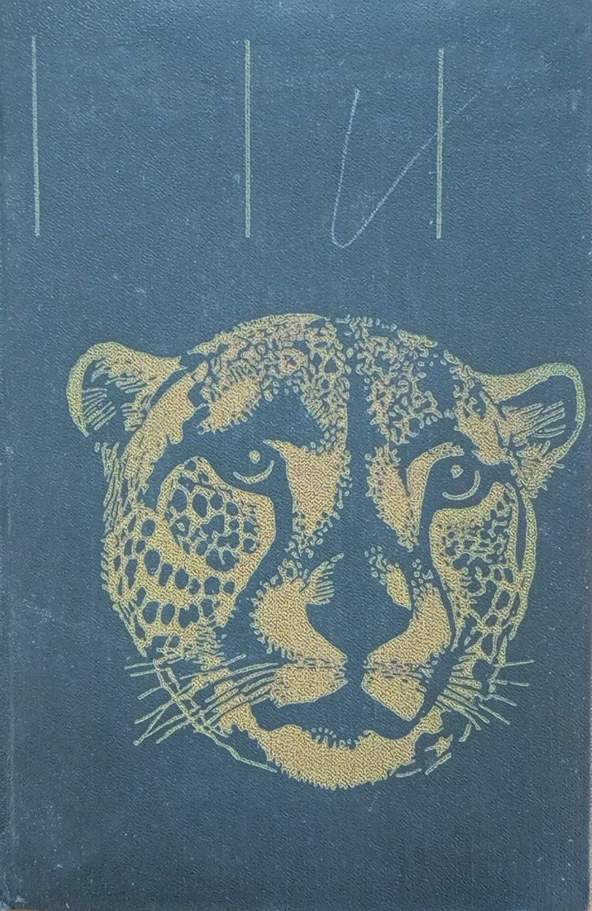 Пятнистый сфинкс. Пиппа бросает вызов.