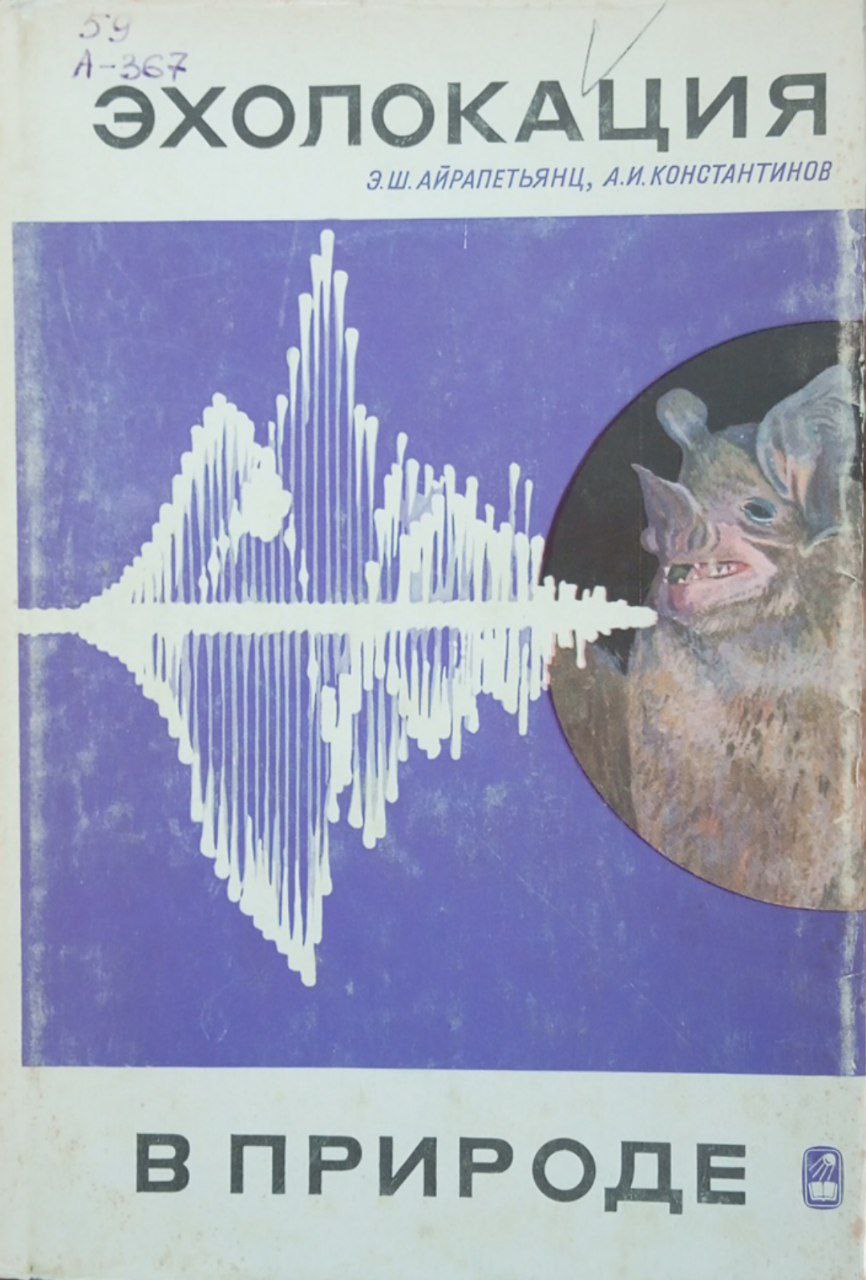 Эхолокация в природе