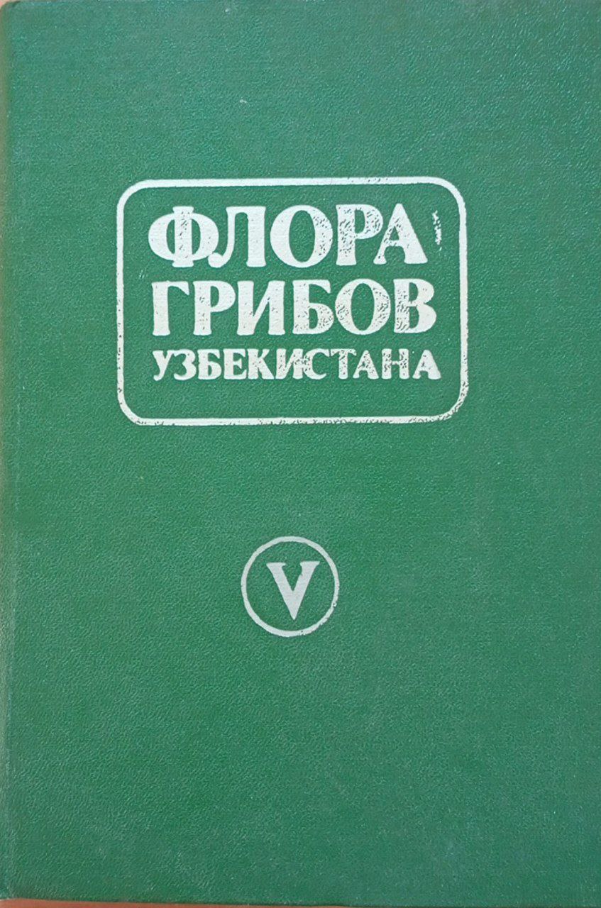 Флора грибов Узбекистана. Том V. Гифальные грибы