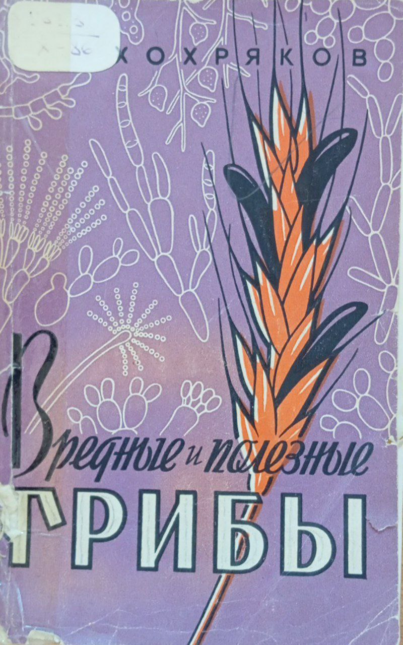 Вредные и полезные грибы