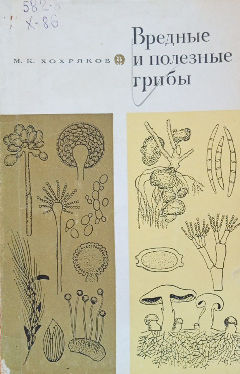 Вредные и полезные грибы