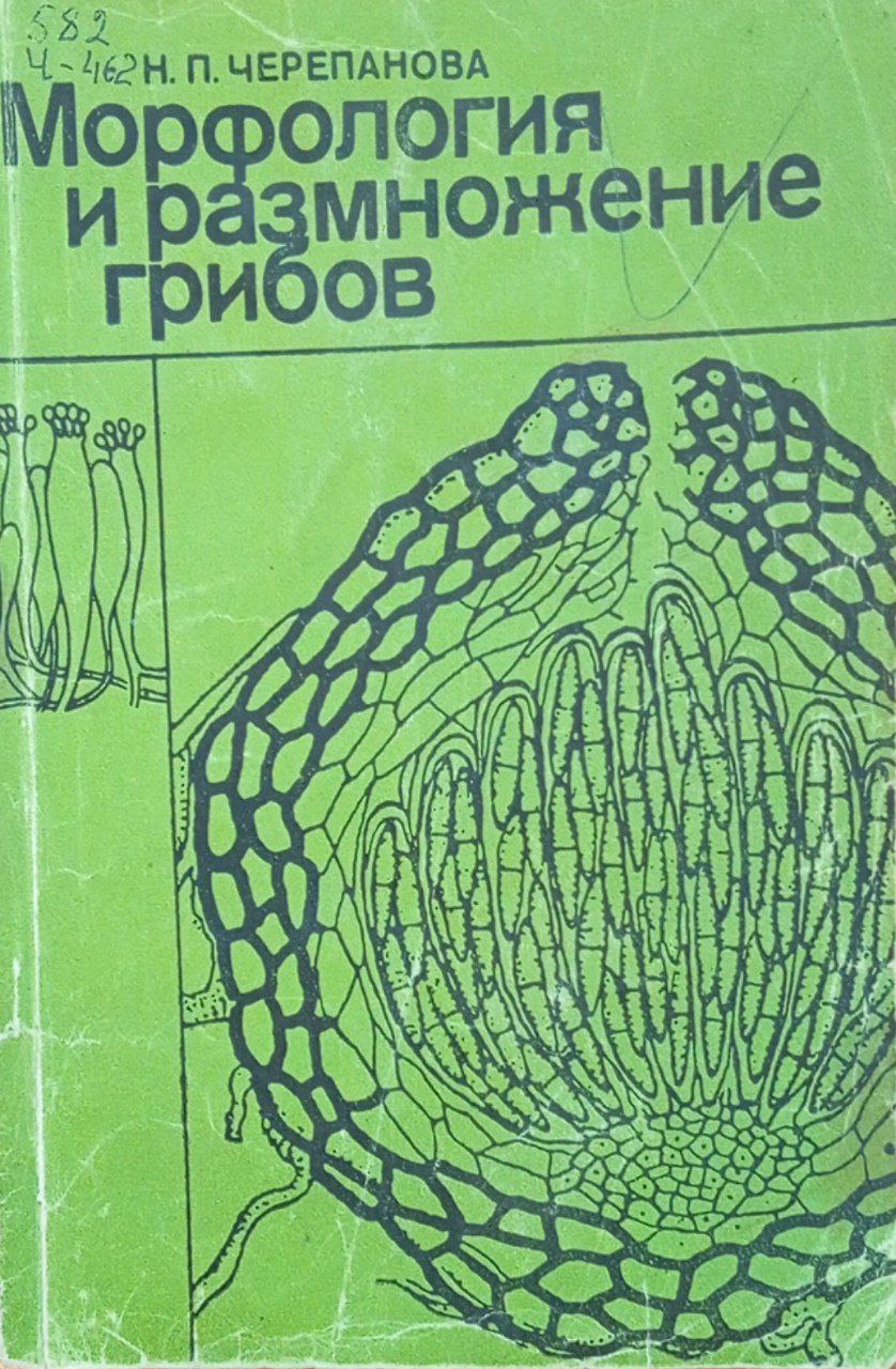 Морфология и размножение грибов