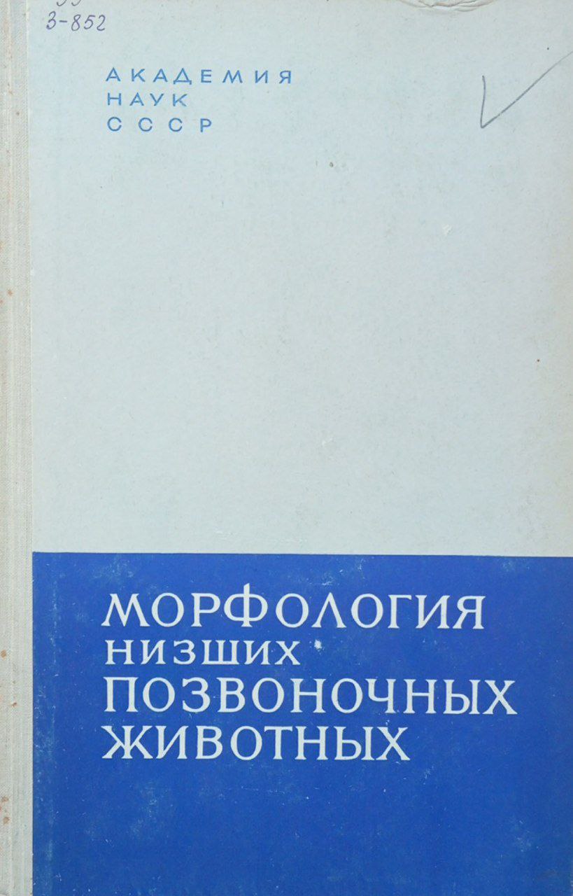 Морфология низших позвоночных животных