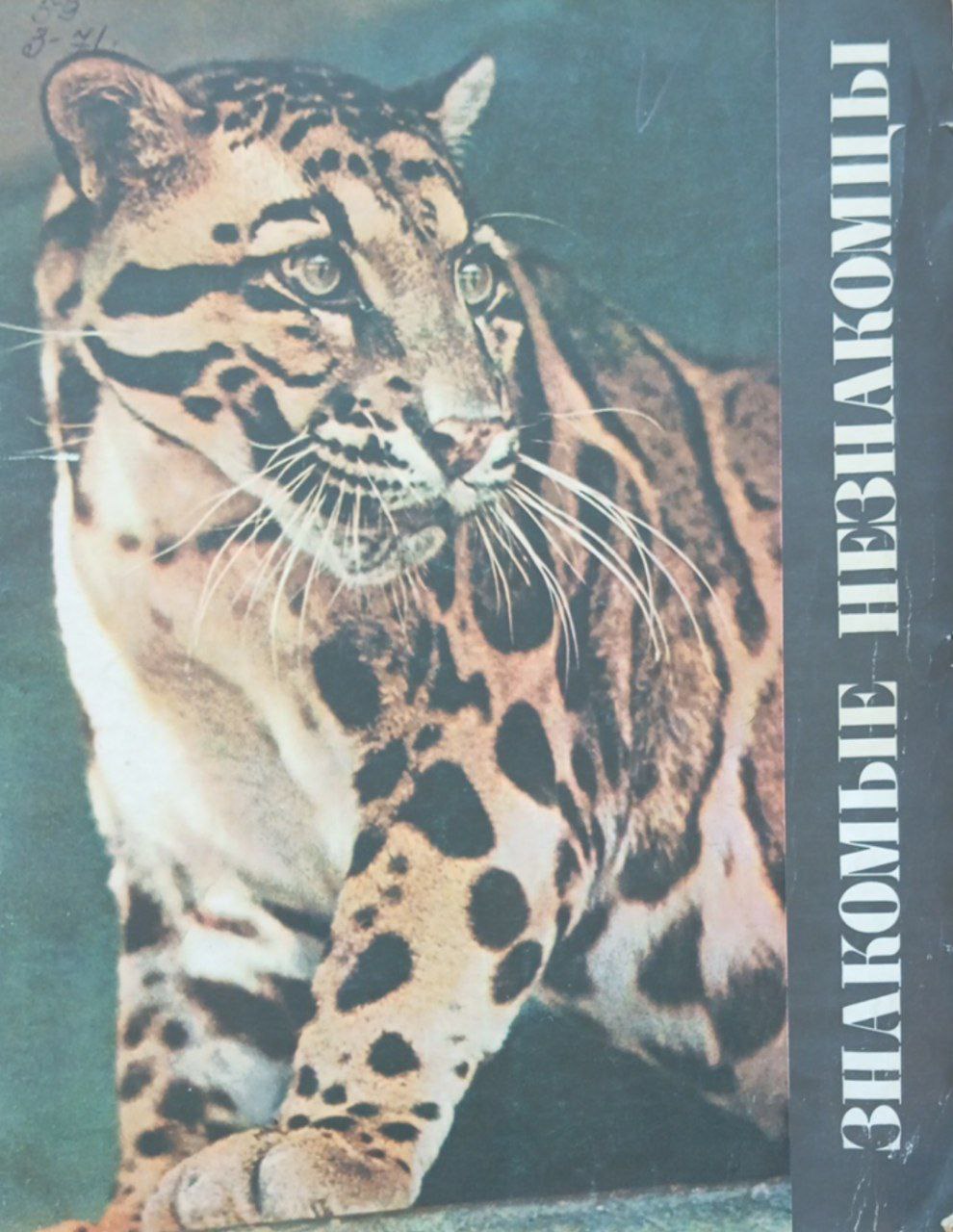 Знакомые незнакомцы