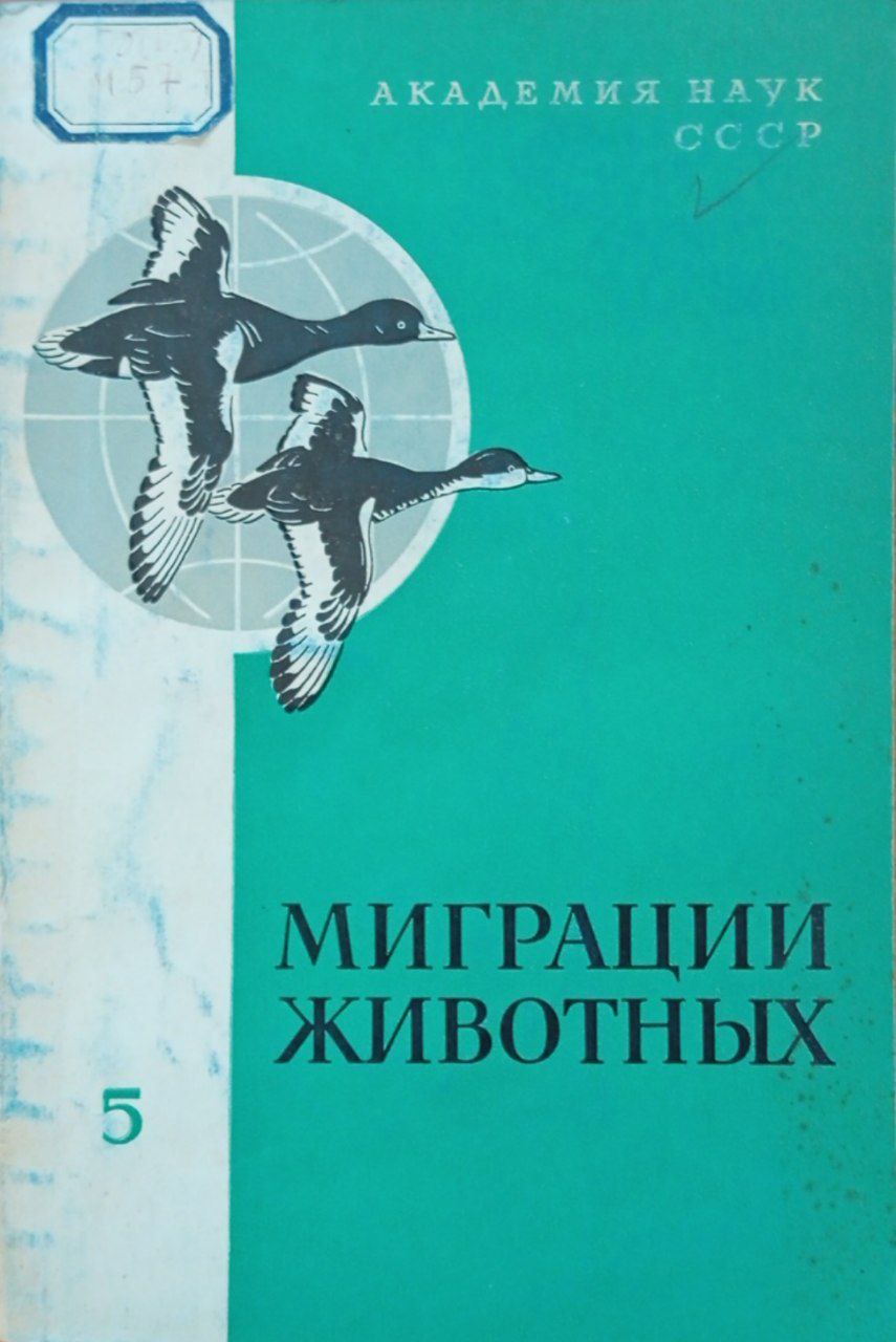 Миграции животных