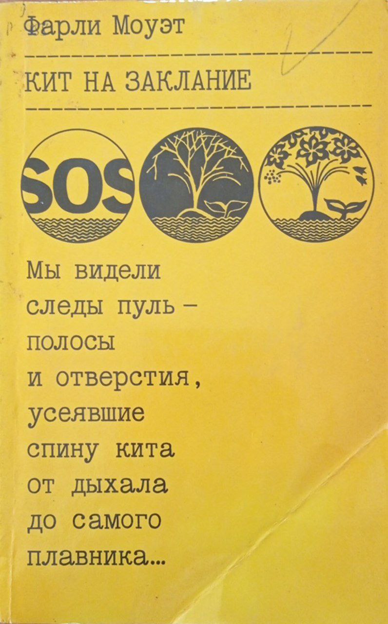 Кит на заклание