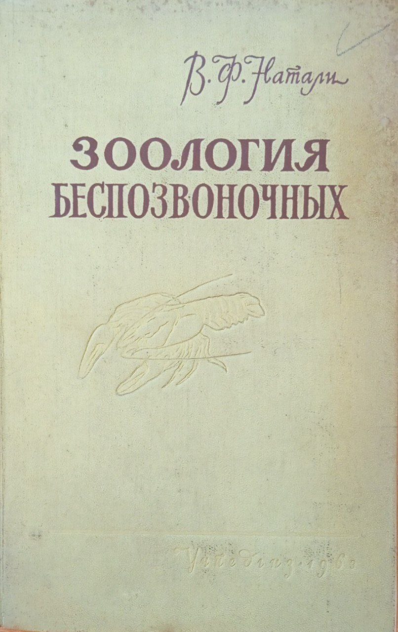 Зоология беспозвоночных