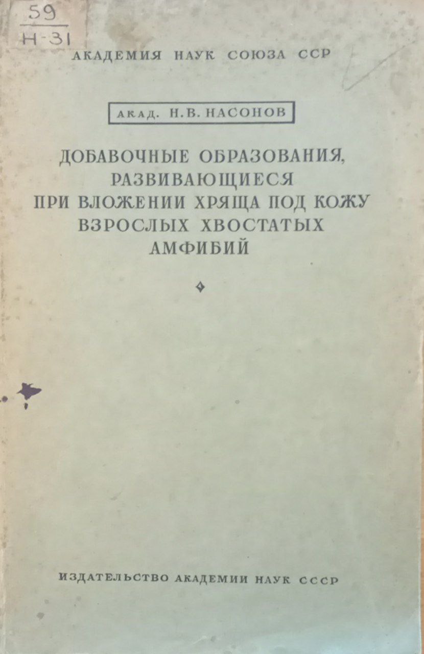 Добавочные образования, развивающиеся при вложении хряща под кожу взрослых хвостатых амфибий