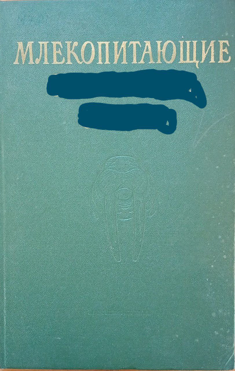 Млекопитающие