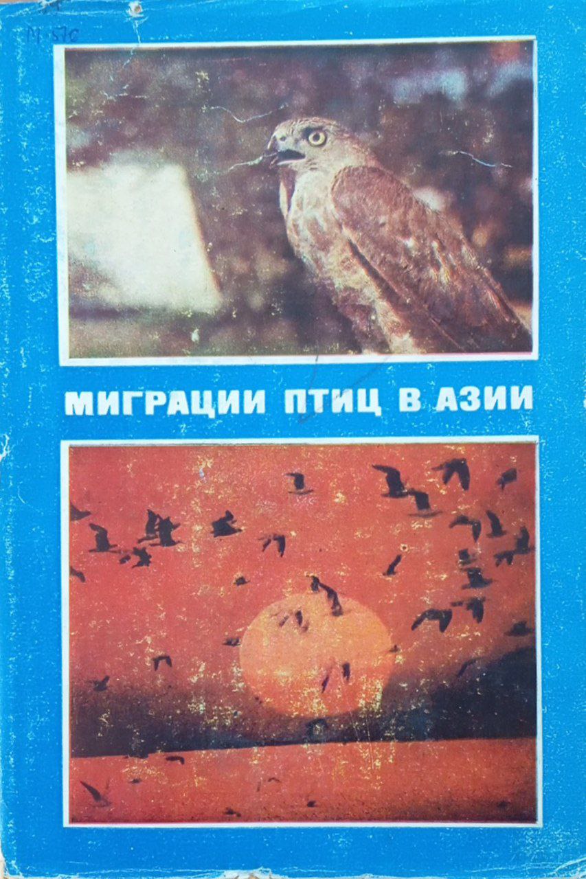 Миграции птиц в Азии