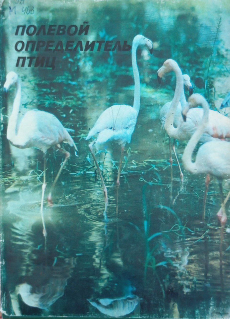Полевой определитель птиц