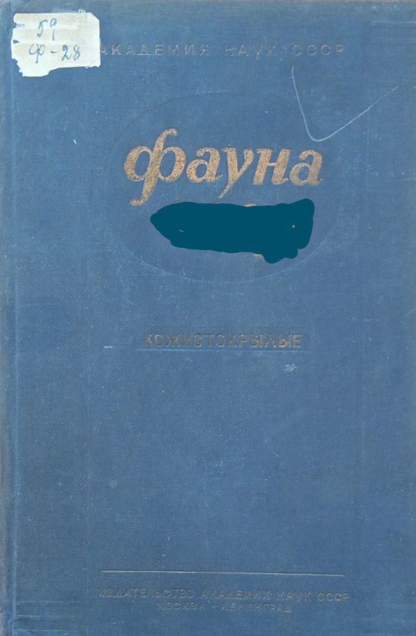 Фауна насекомые кожистокрылые