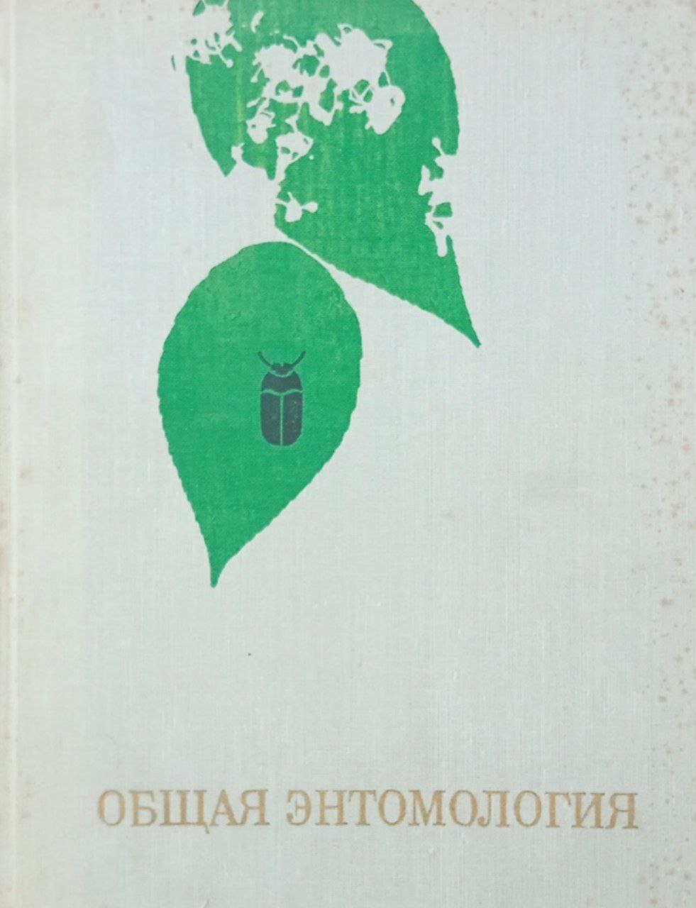 Общая энтомология