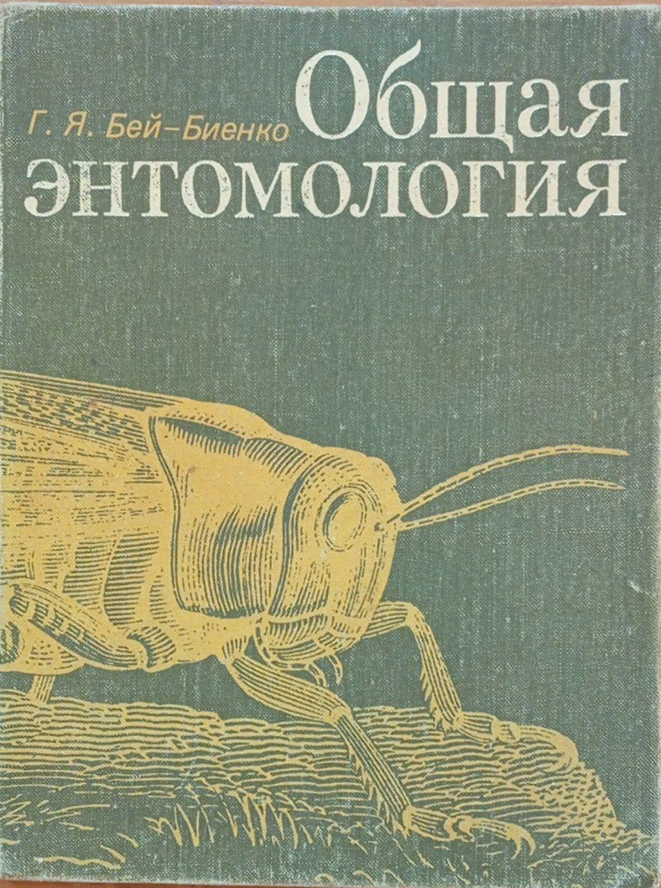 Общая энтомология