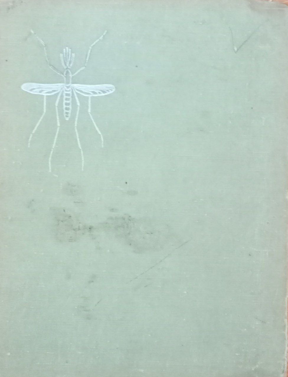 Общая энтомология