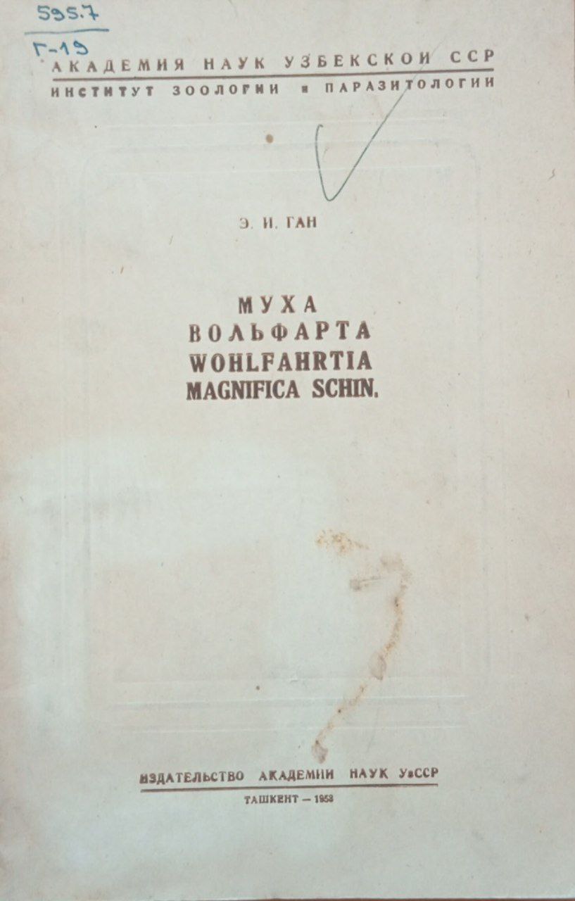 Муха вольфарта wohlfahrtia magnifica schin