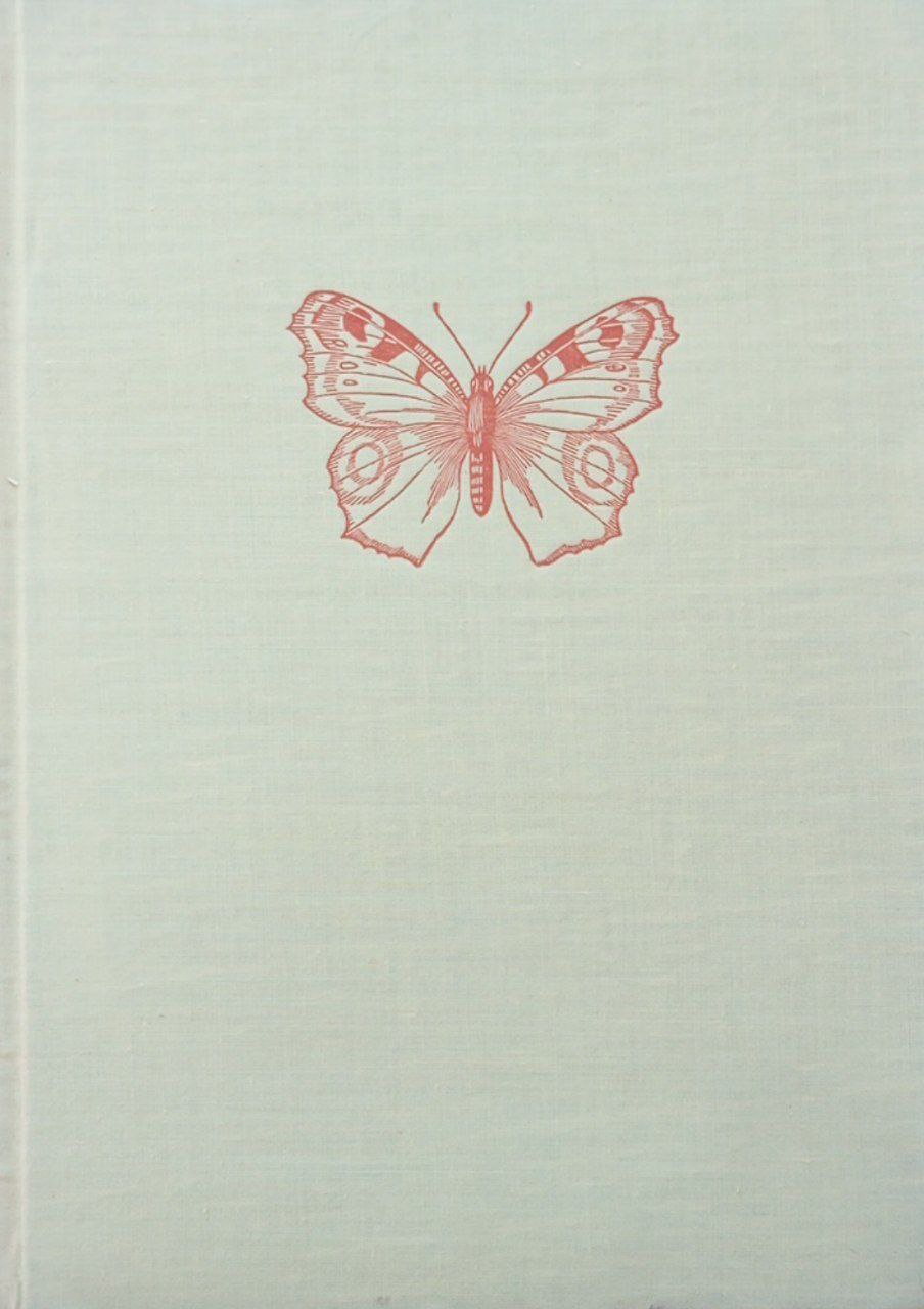 Маленький атлас бабочек