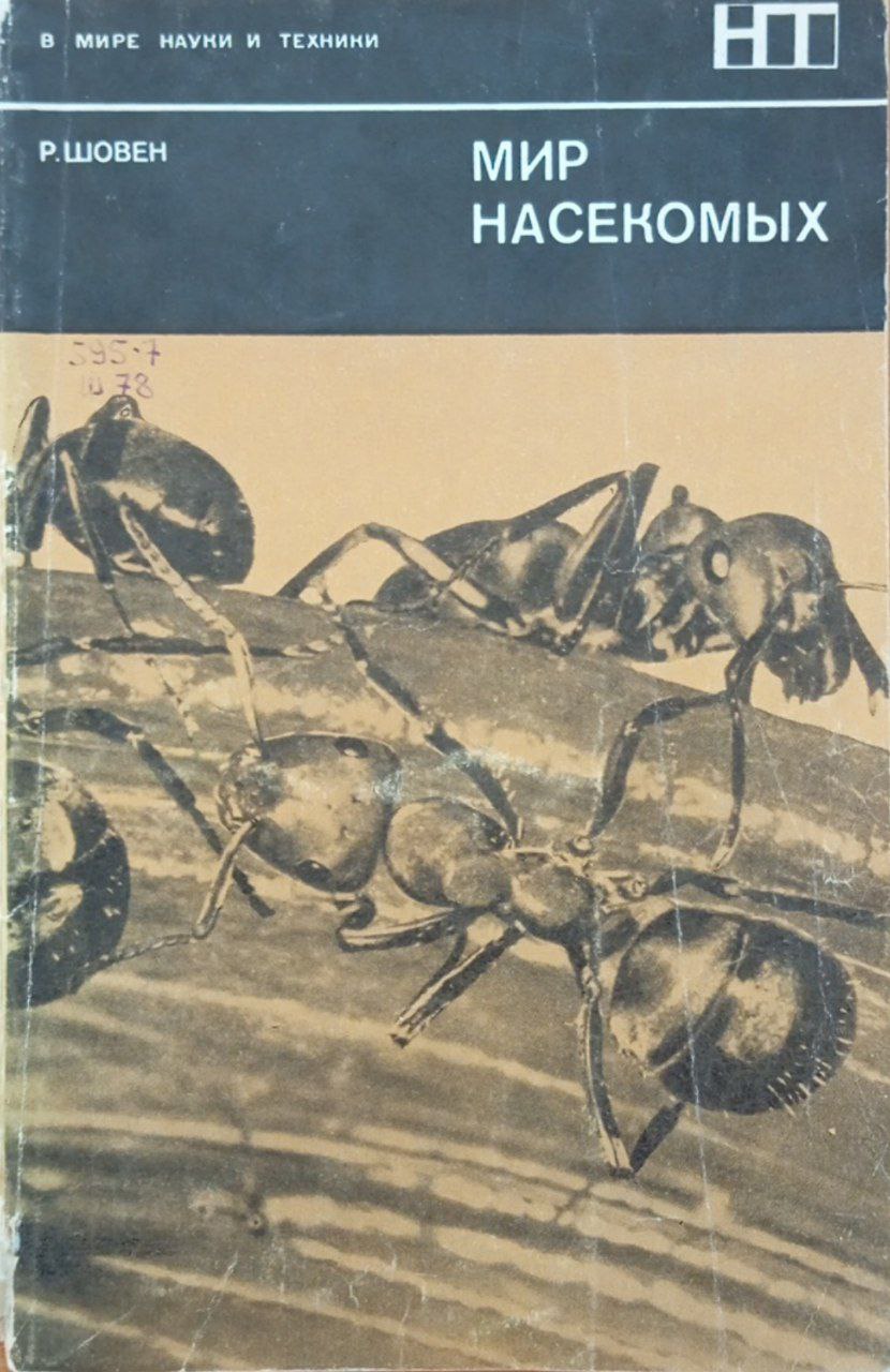 Мир насекомых