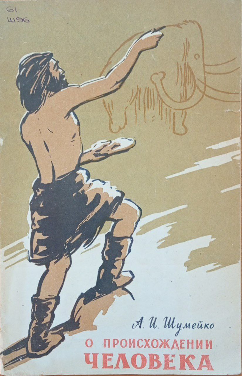 О происхождении человека