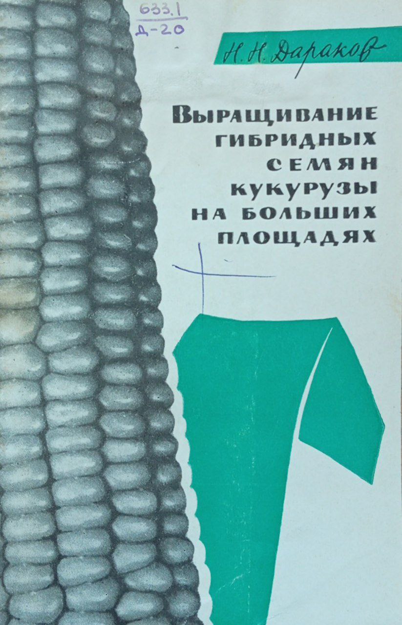 Выращивание гибридных семян кукурузы на больших площадях