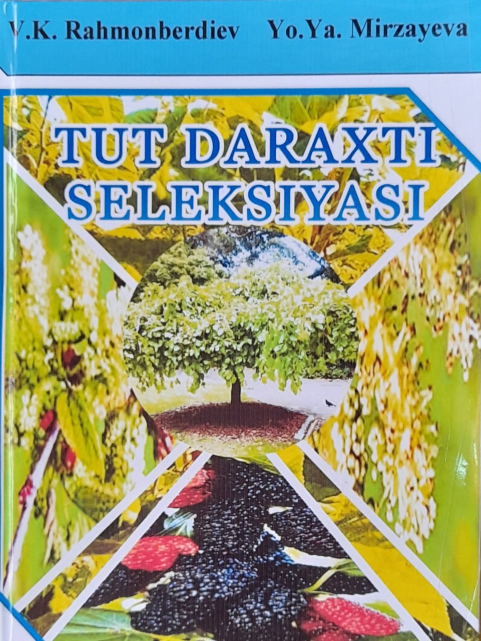 Tut daraxti seleksiyasi