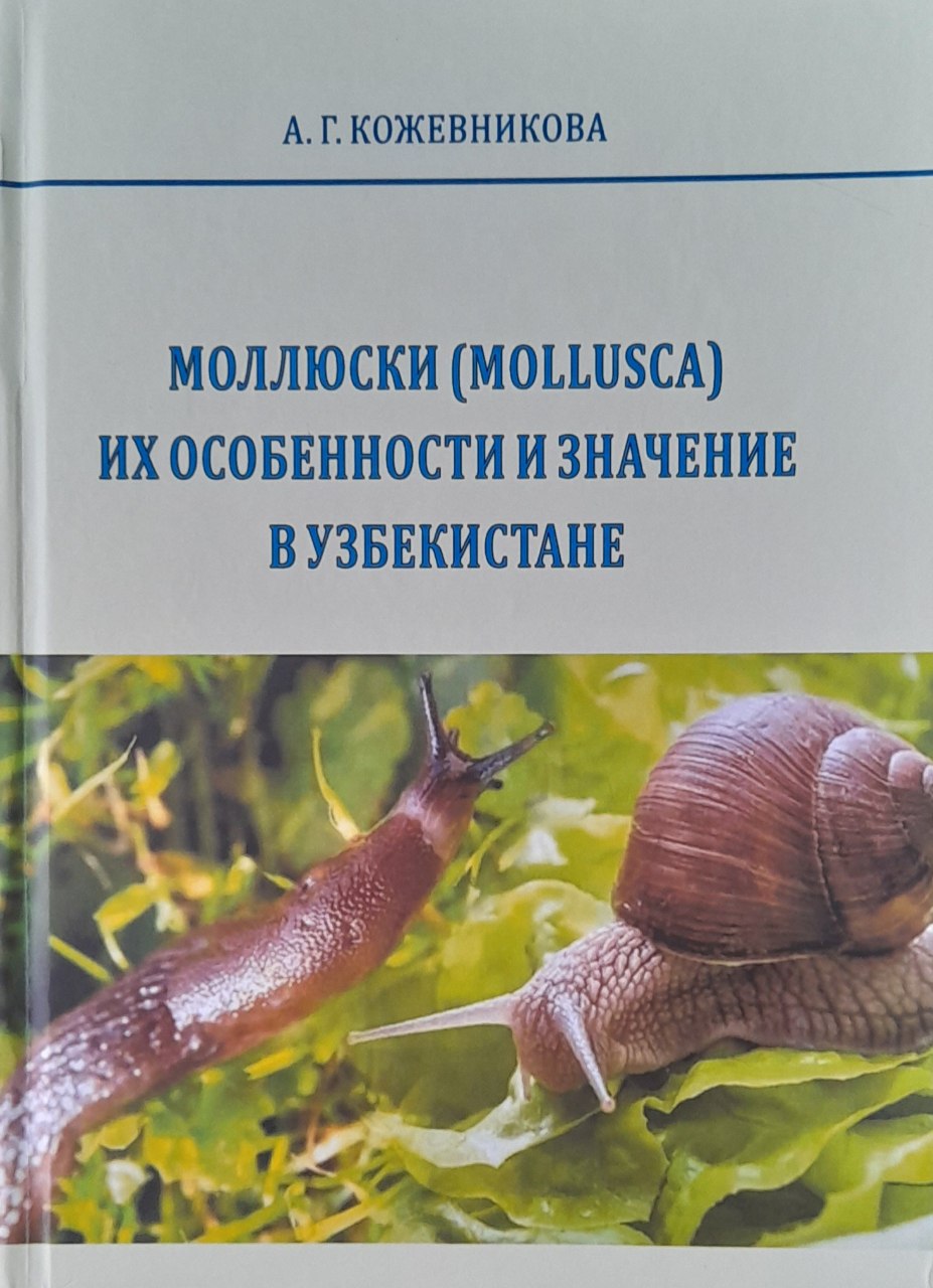 Моллюски (Mollusca) их особенности и значение в Узбекистане