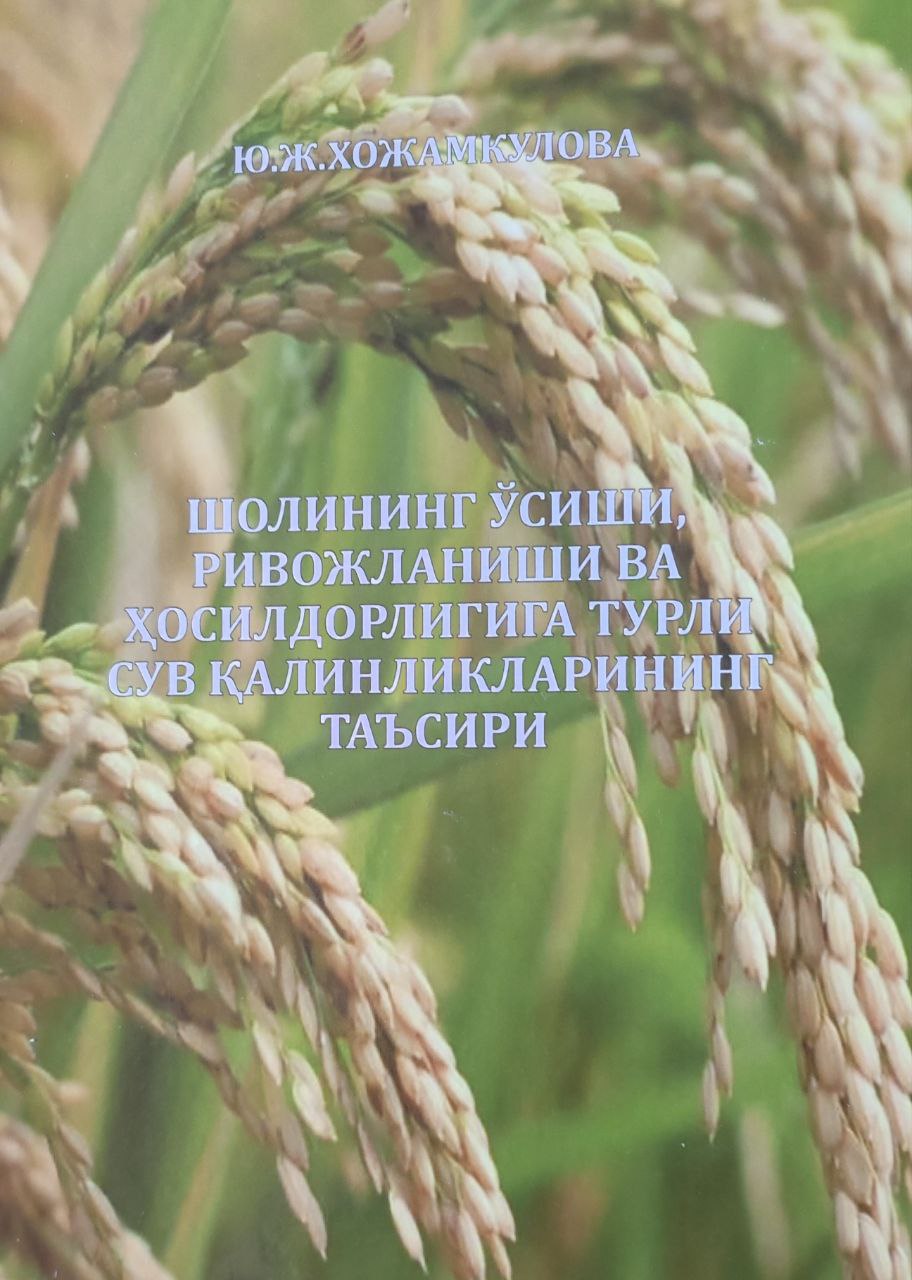 Шолининг ўсиши, ривожланиши ва ҳосилдорлигига турли сув қалинликлари таъсири