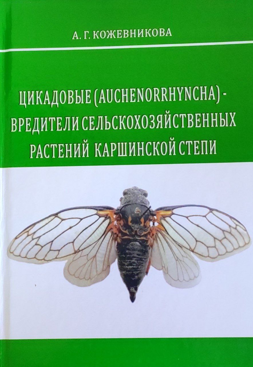 Цикадовые (Auchenorrhyncha) - вредители сельскохозяйственных растений Каршинской степи