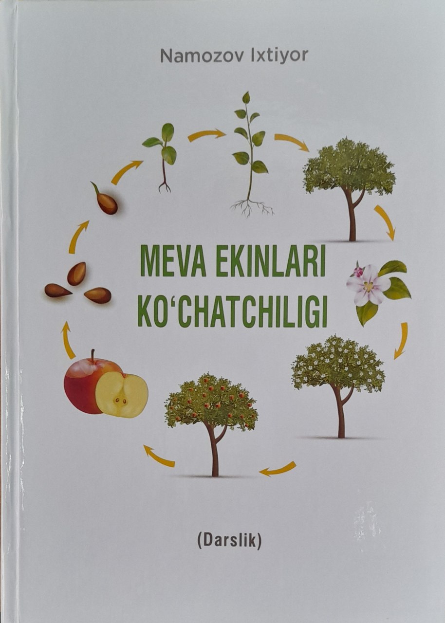 Meva ekinlari ko'chatchiligi