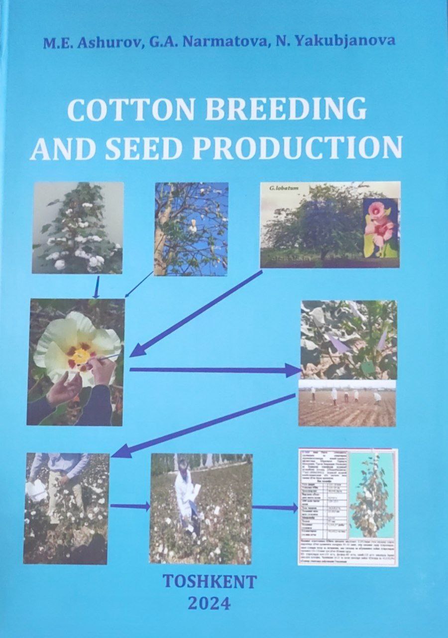 Cotton breeding and seed production