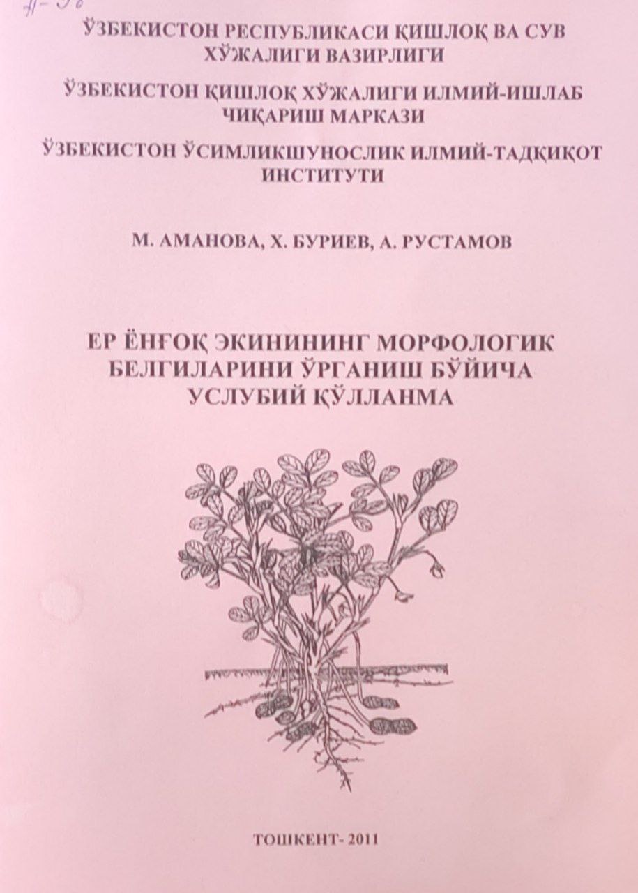 Ер ёнғоқ экинининг морфологик белгиларини ўрганиш бўйича услубий қўлланма