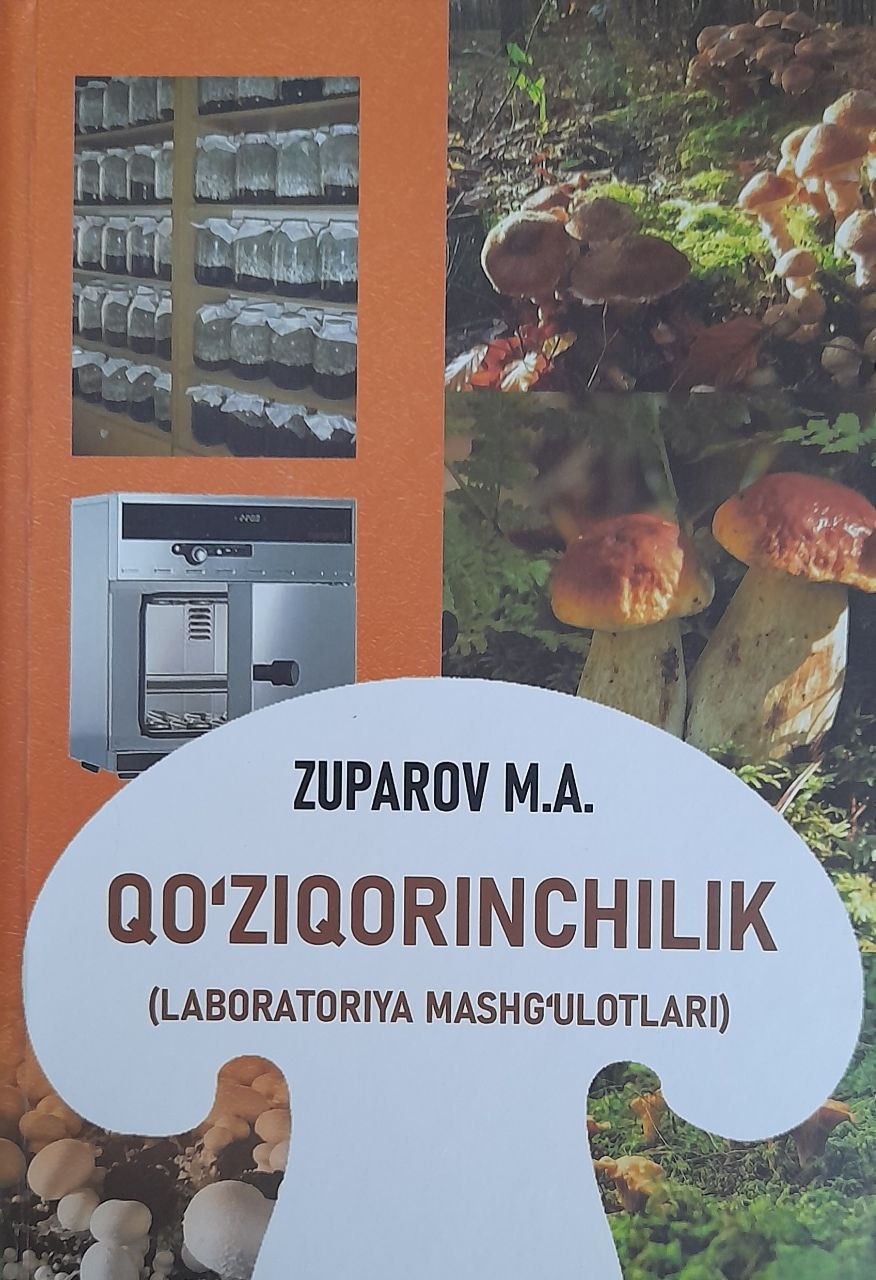 Qo'ziqorinchilik