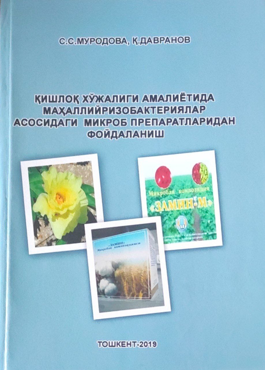 Қишлоқ хўжалиги амалиётида маҳаллий ризобактериялар асосидаги микроб препаратларидан фойдаланиш