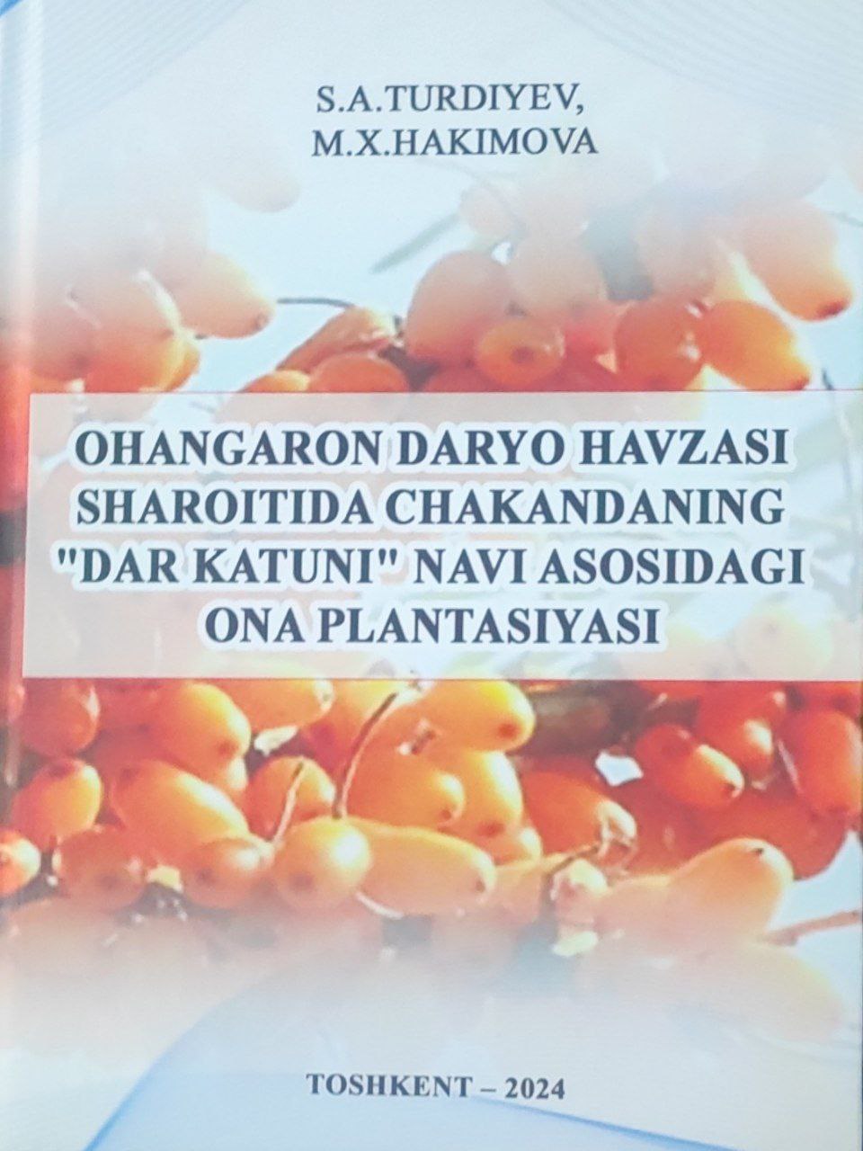 Ohangaron daryo havzasi sharoitida chakandaning "Dar katuni' navi asosidagi ona plantasiyasi