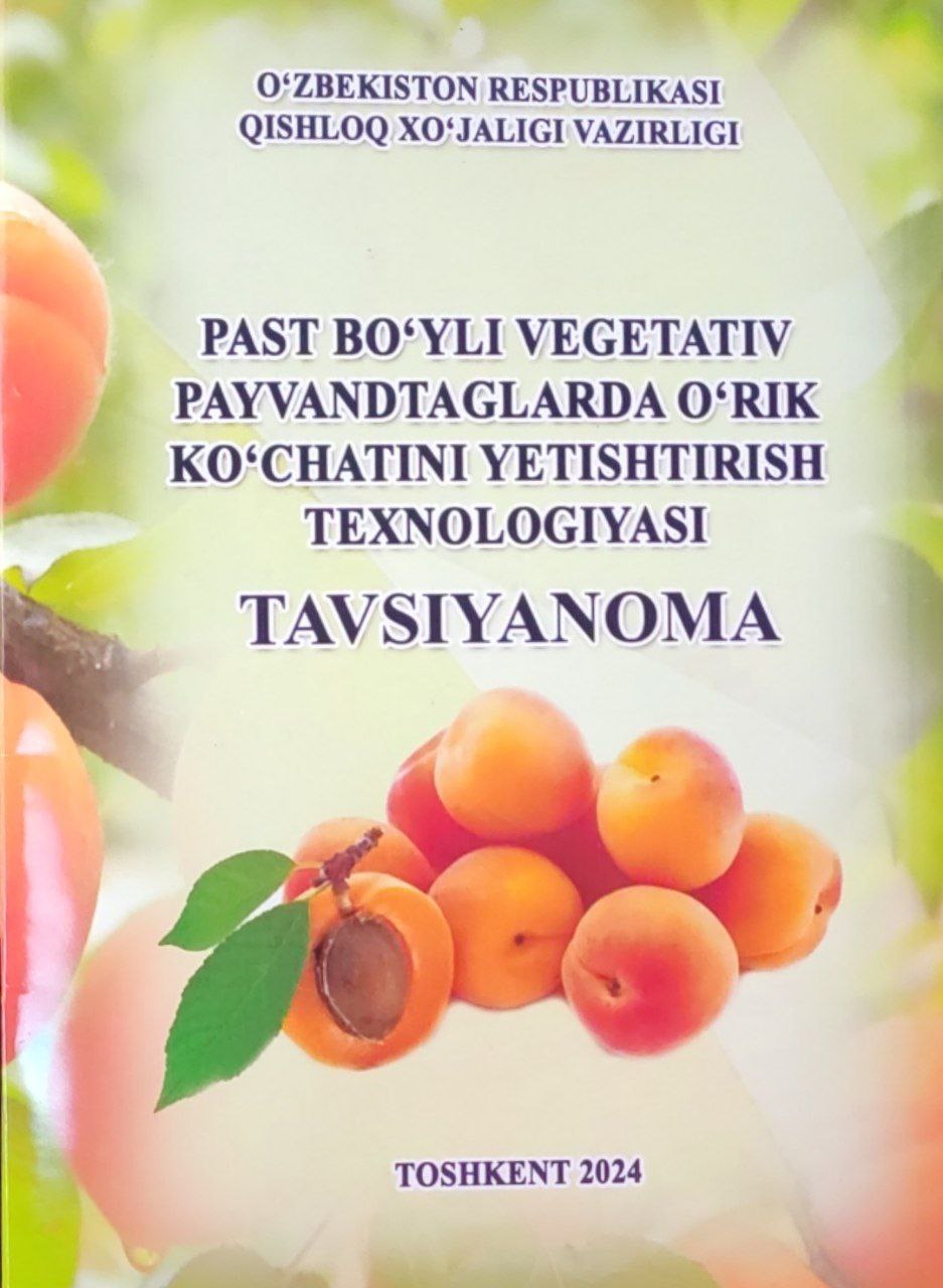 Past bo'yli vegetativ payvandtagilarga o'rik ko'chatini yetishtirish texnologiyasi